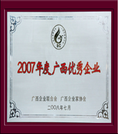 广西优秀企业